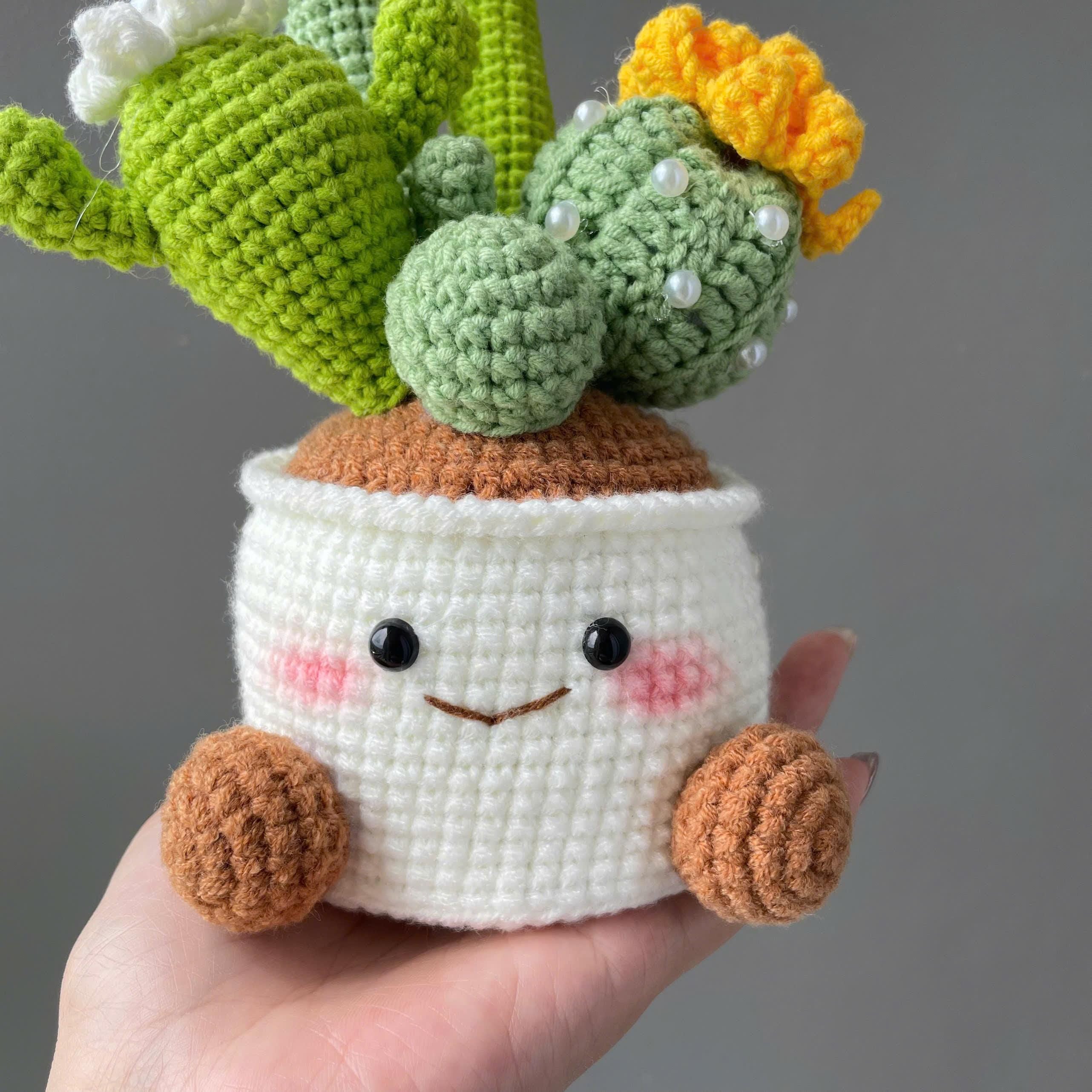Handmade Crochet Cactus Flower Pot