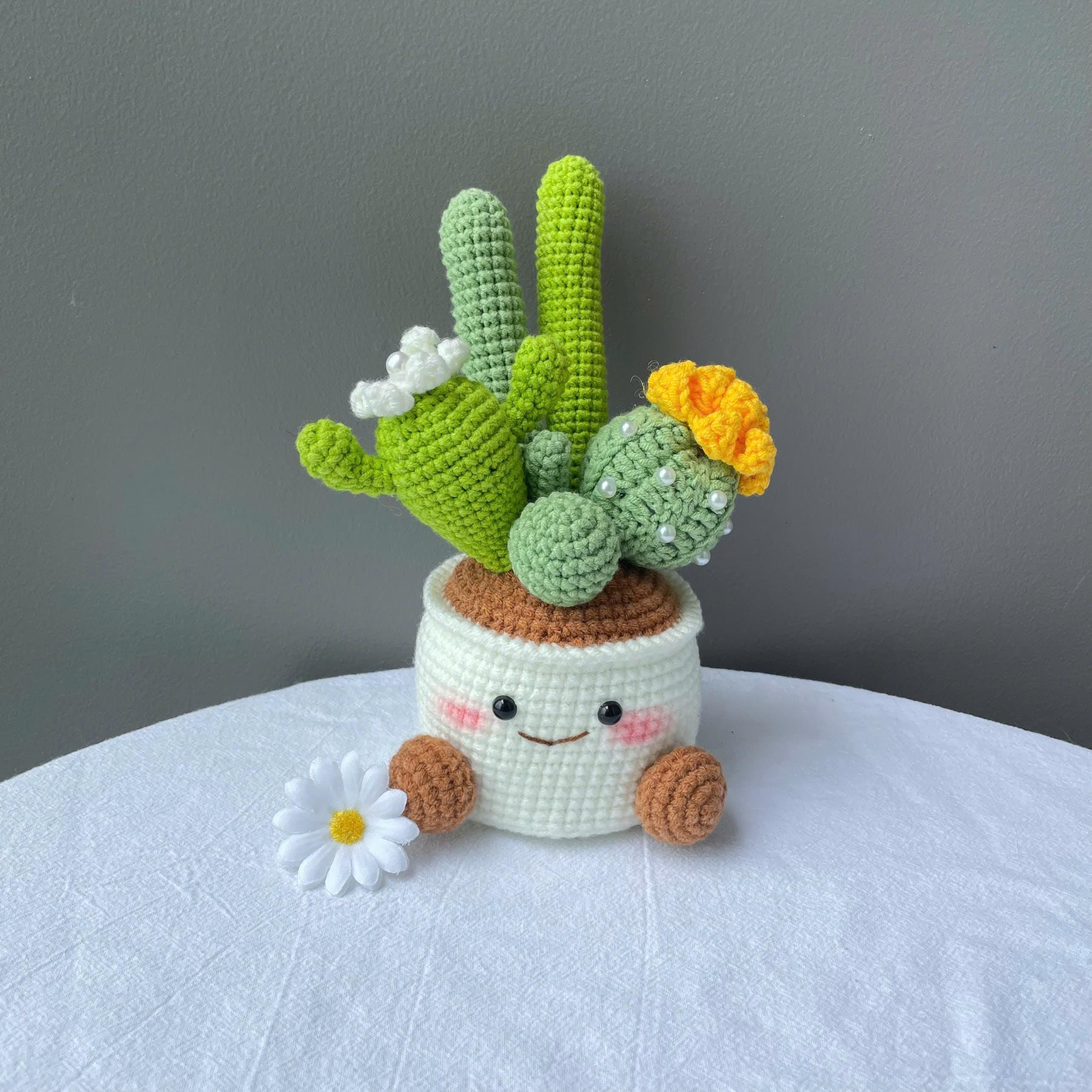 Handmade Crochet Cactus Flower Pot