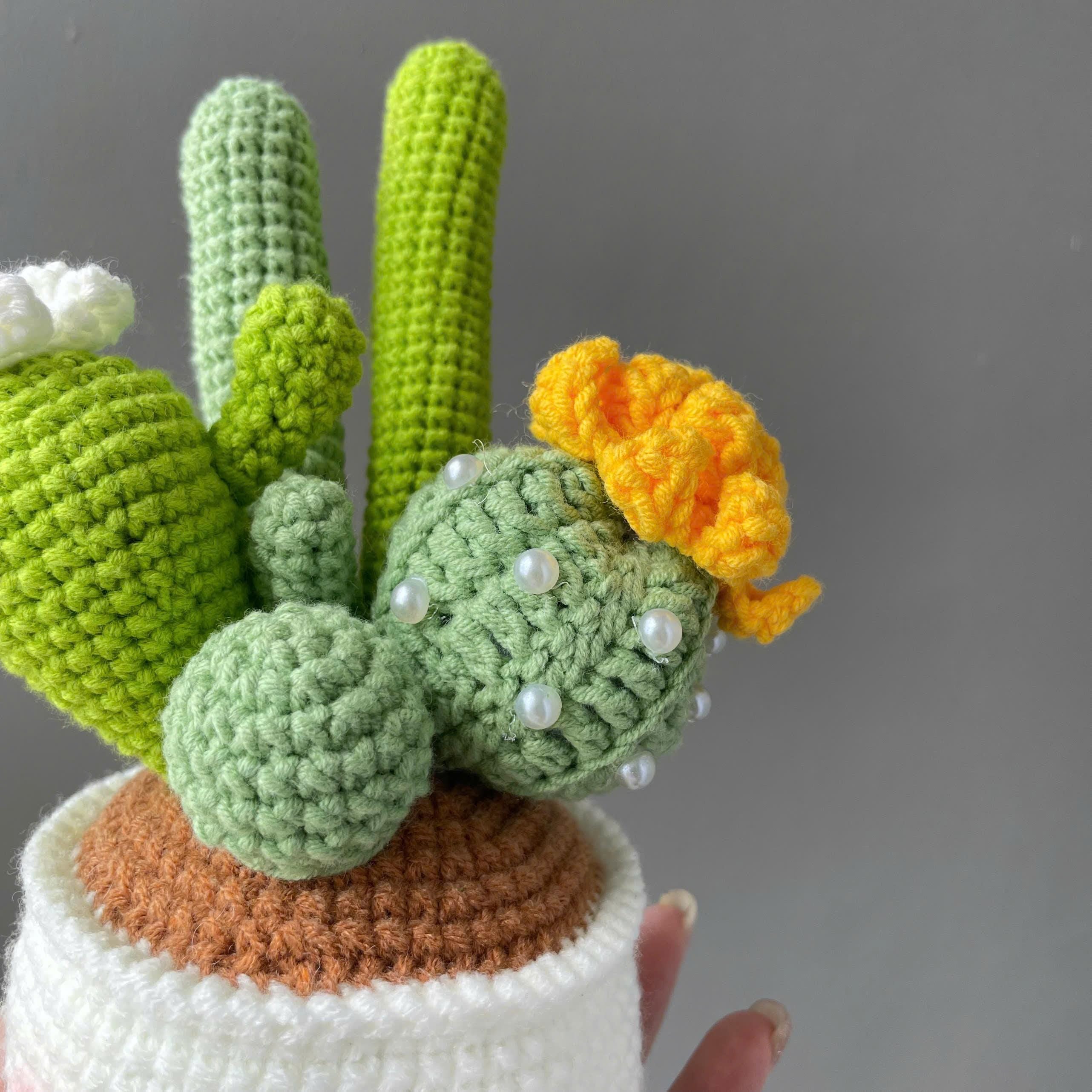 Handmade Crochet Cactus Flower Pot