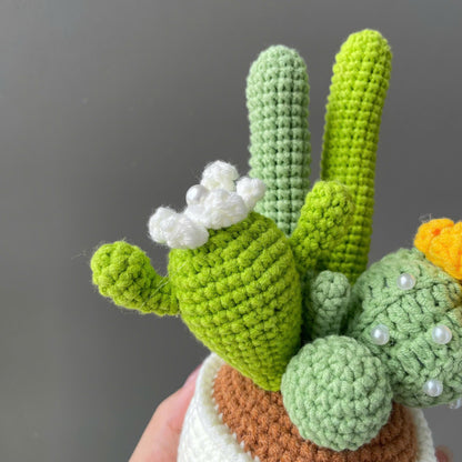 Handmade Crochet Cactus Flower Pot