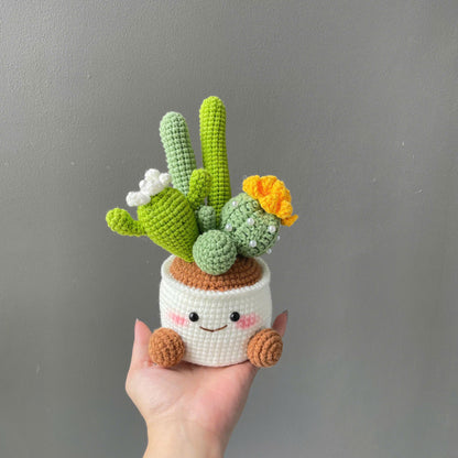 Handmade Crochet Cactus Flower Pot