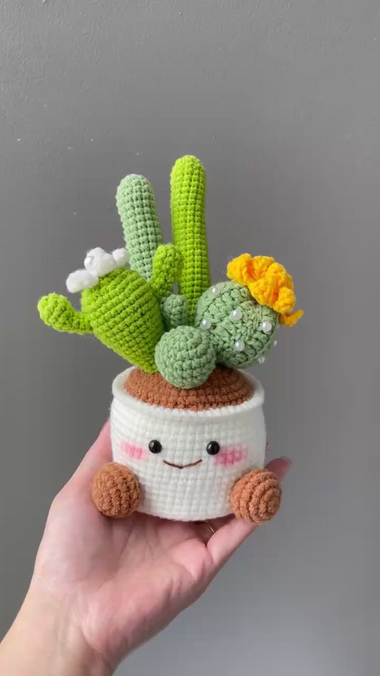Handmade Crochet Cactus Flower Pot