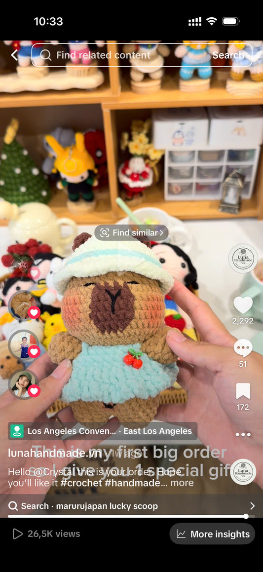 Handmade Crochet Capybara Plushie
